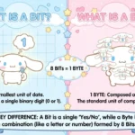 bit or byte