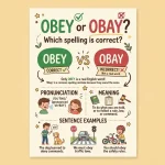 Obay or Obey